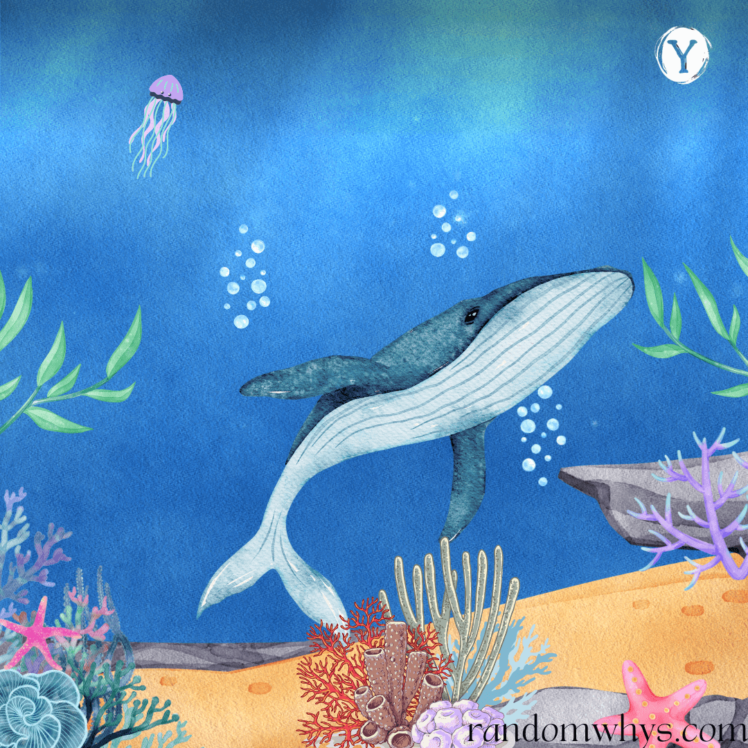 Why whales don’t have&nbsp;limbs?