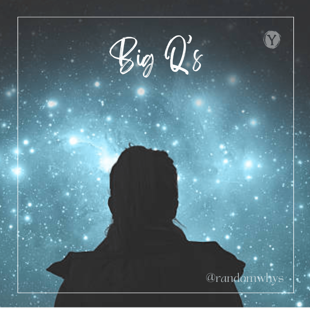 A silhouette of a person gazing upwards into a starry night sky