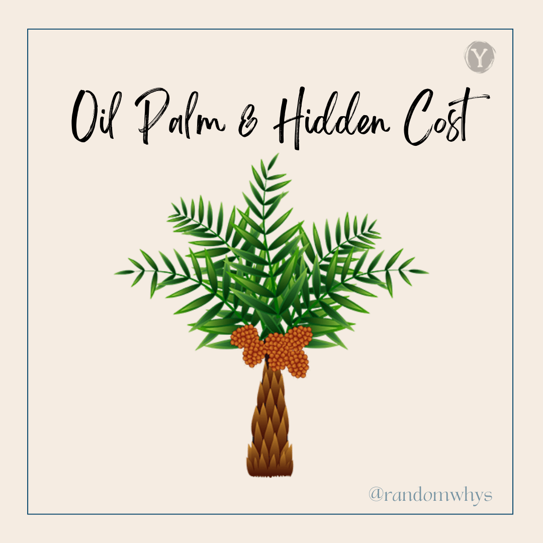 Oil palm tree illustration highlighting hidden costs