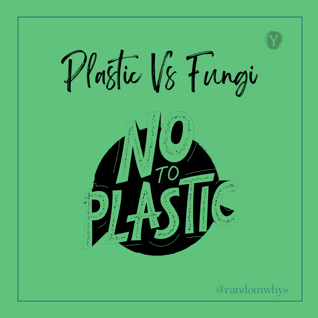 A green poster advocating against plastic usage and promoting fungi as an alternative with the text "Plastic Vs Fungi - No to Plastic" and a logo.