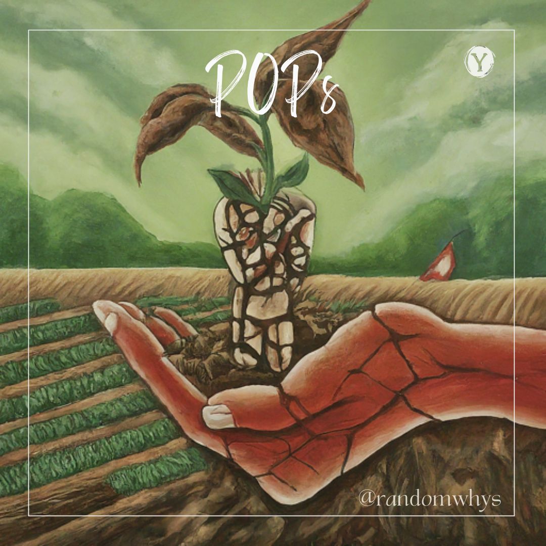 #DecodeAgri07: Persistent Organic Pollutants&nbsp;(POPs)