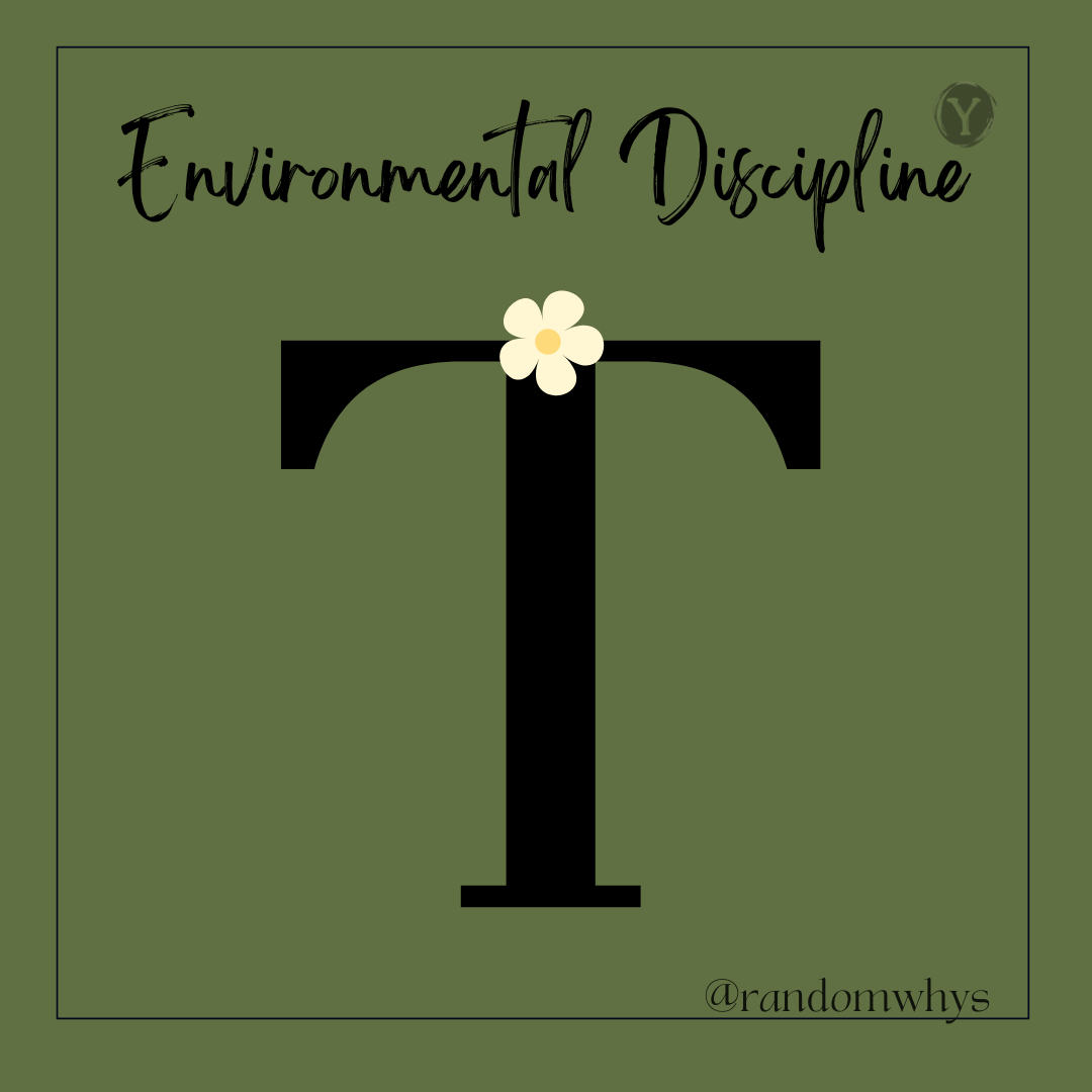 Stylized graphic with a large black letter "T" featuring a small white flower at its intersection. The title "Environmental Discipline" is written above the letter, and the handle "@randomwhys" is in the bottom right corner.