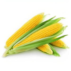 A sweet corn 