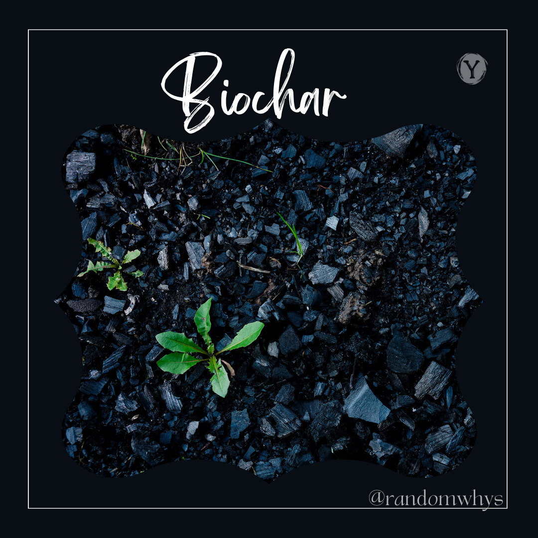 Biochar with a sprouting plant symbolizing soil fertility.