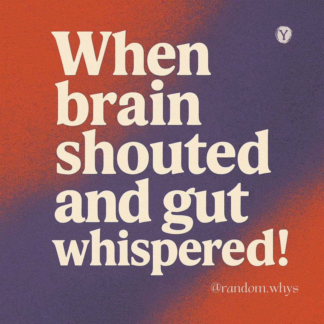 When brain shouted and gut&nbsp;whispered!