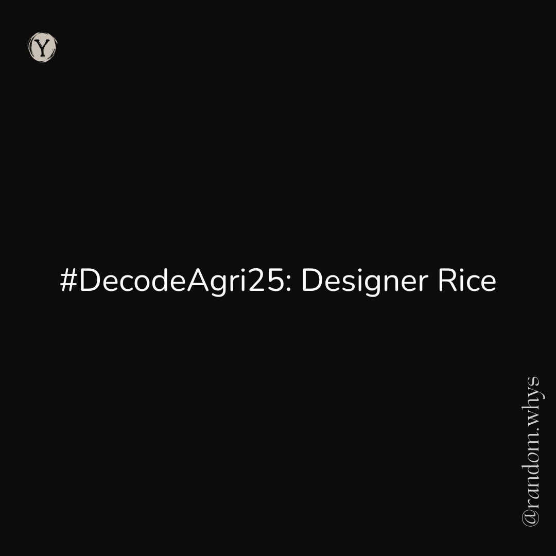 A square digital graphic with a solid black background. In the center, white text reads "#DecodeAgri25: Designer Rice". A small circular logo with the letter "Y" is in the top left corner, and the handle "@random.whys" is written vertically in the bottom right corner.