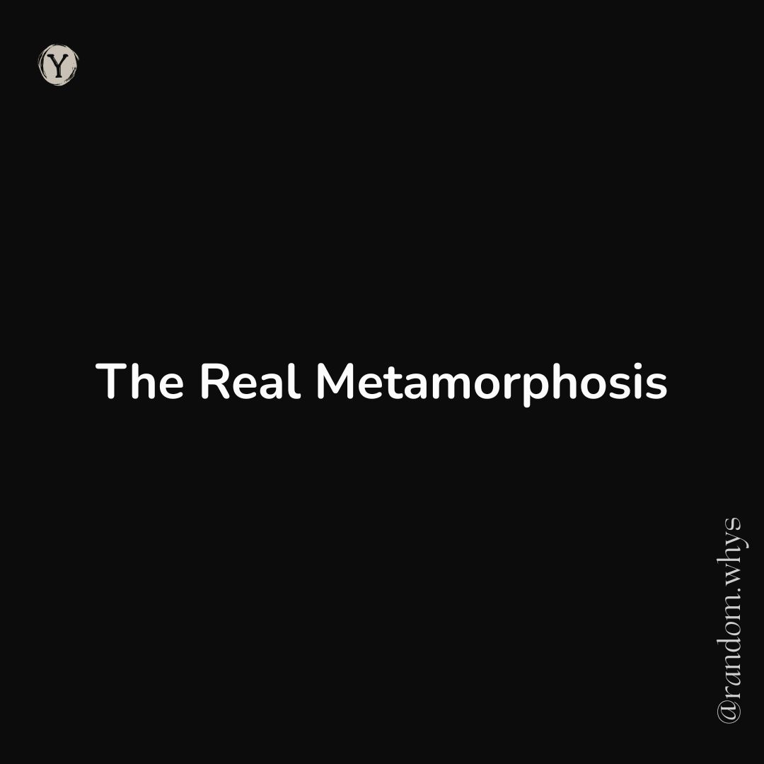 A minimalist black background with the centered white text “The Real Metamorphosis.” A small circular logo with the letter “Y” appears in the top-left corner, and the handle “@random.whys” is written vertically along the right edge.